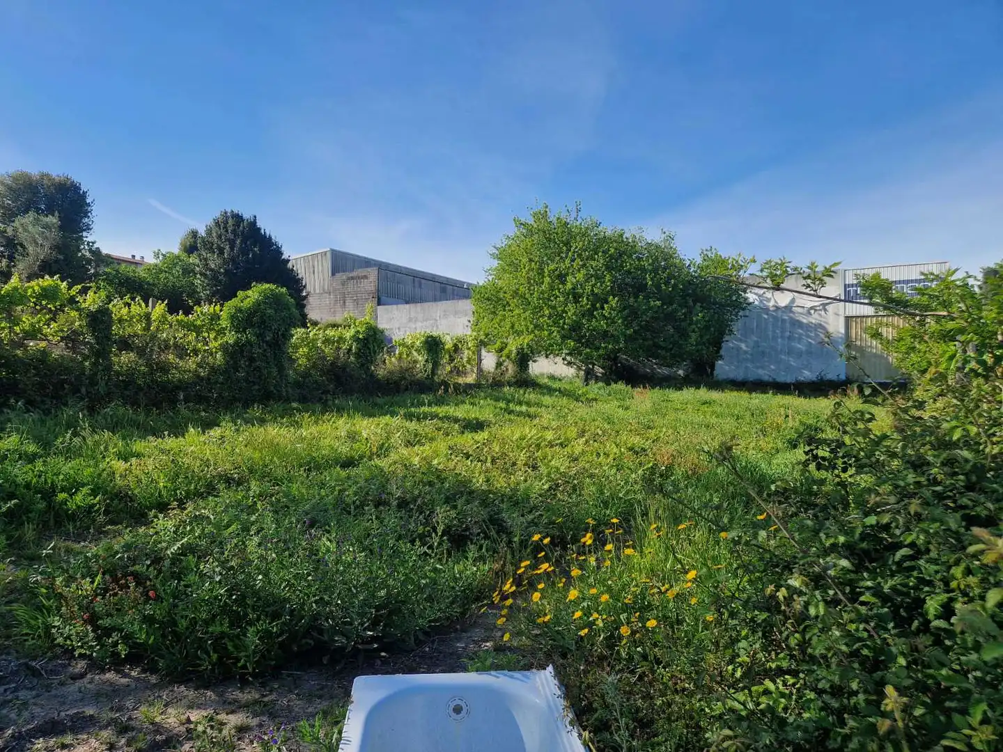 Lands and plots for sale in Brión, imagen 6