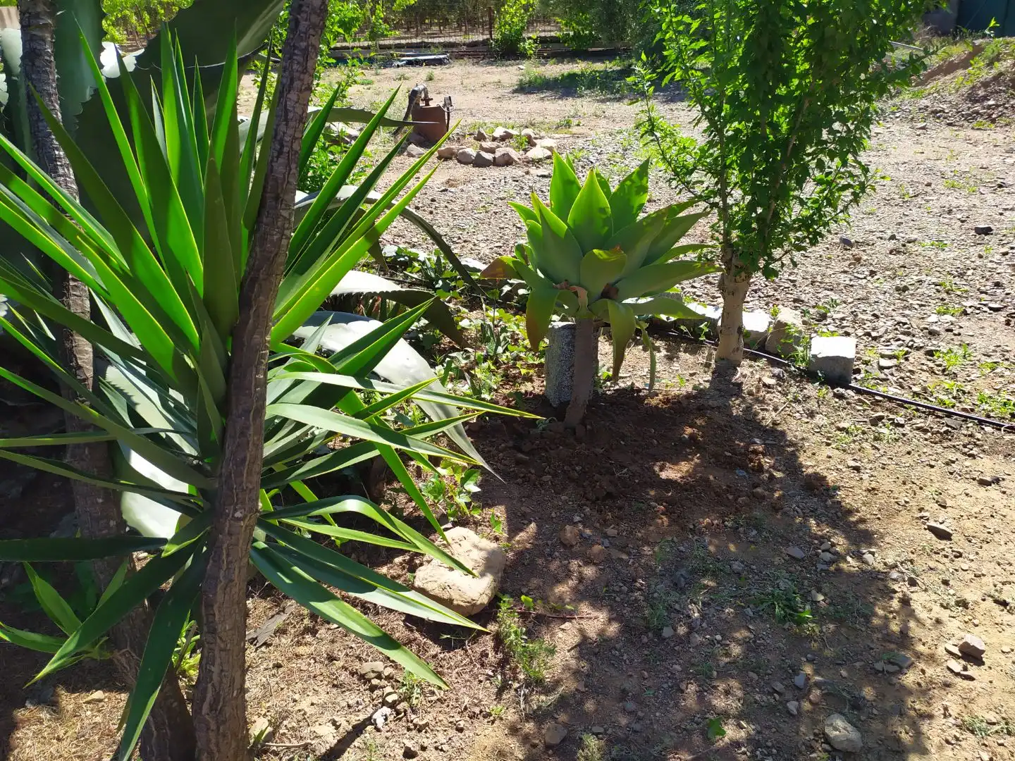 Terreno en venta en Cambrils