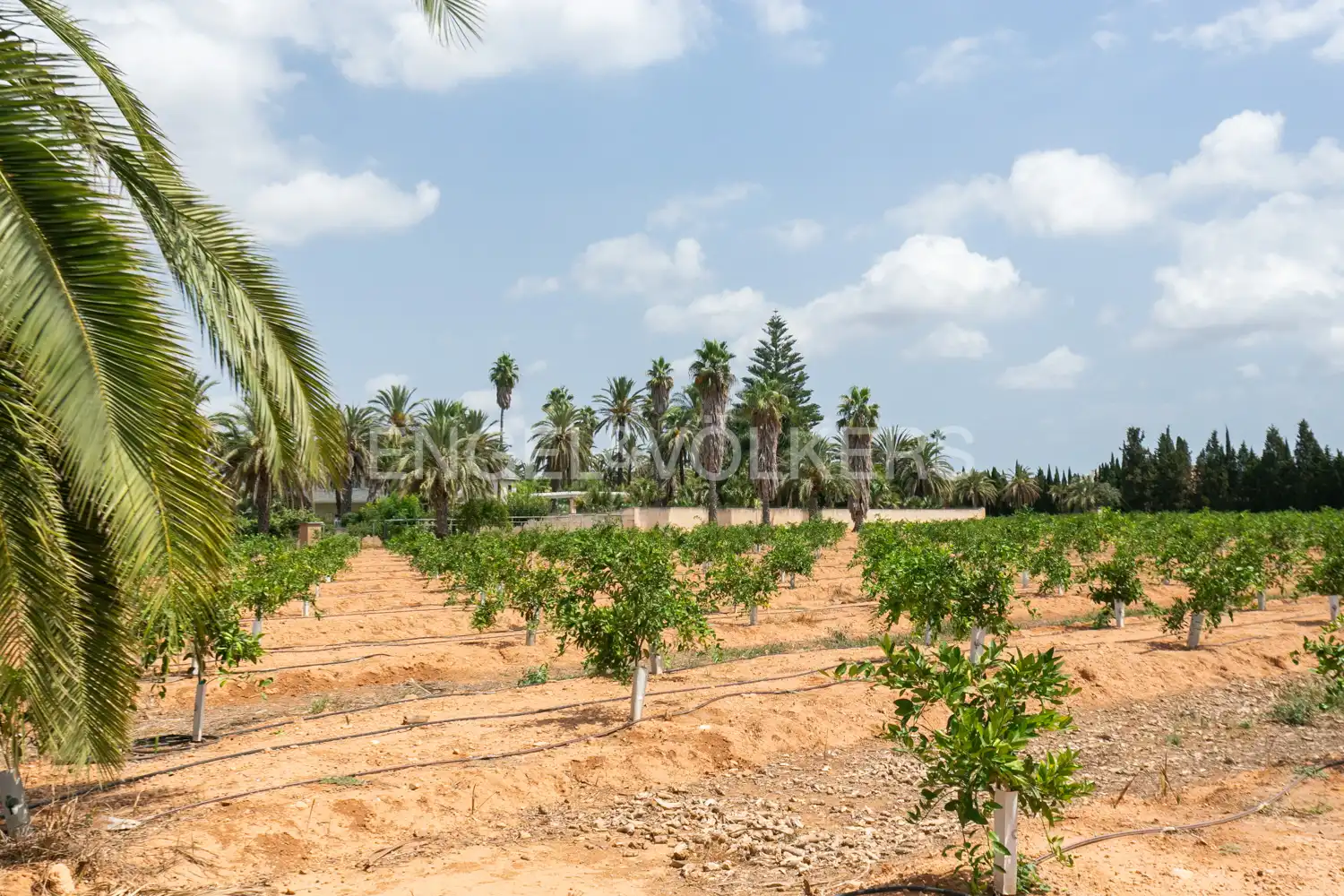 House with terrace for sale in Gallipont, imagen 98