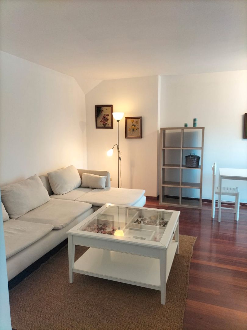 Sala d'estar de Dúplex de lloguer en A Coruña Capital  amb Moblat, Forn i Rentadora