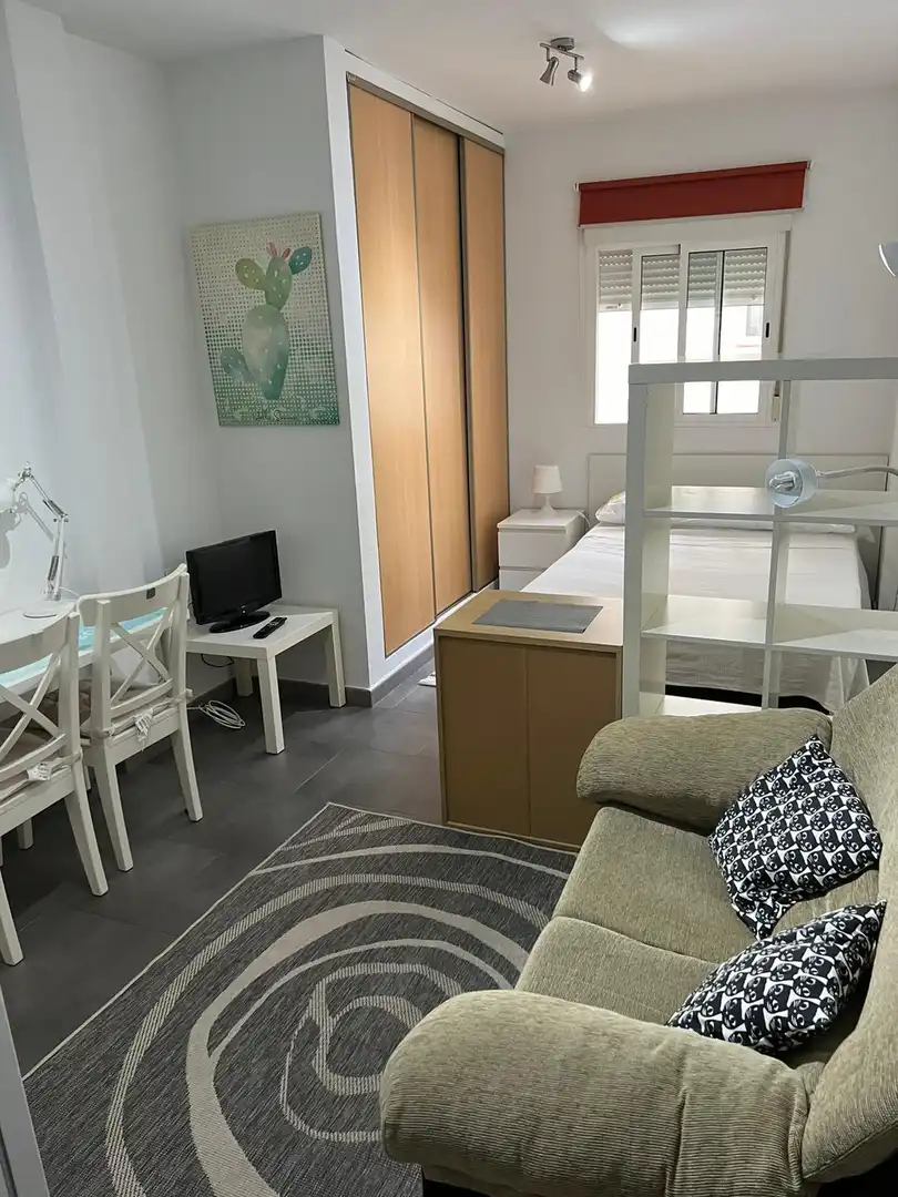 Study for rent in Calle Portería de Santo Domingo, San Matías - Realejo