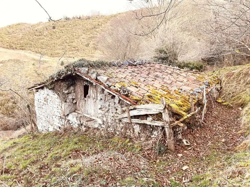 Vista exterior de Finca rústica en venda en Parres