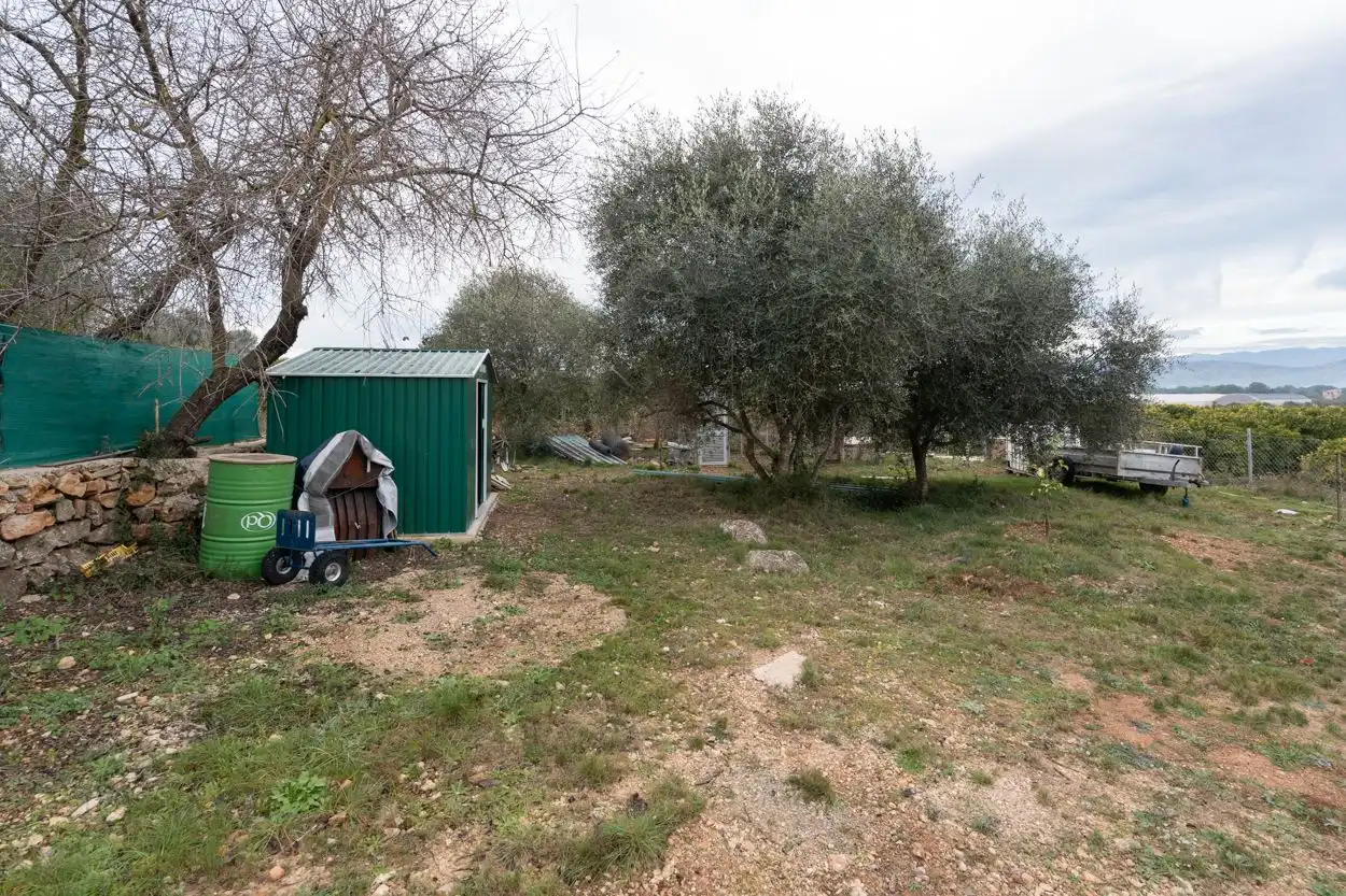 Terreny rústic en venda a Ulldecona, imagen 19