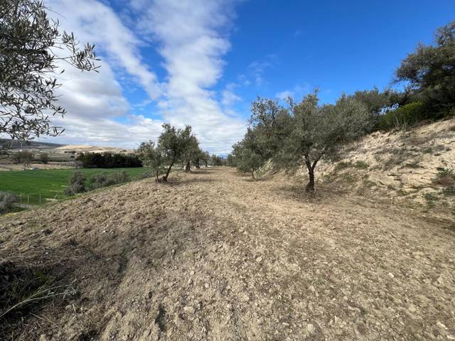 Terreno residencial en Venta en Camino SUELO URB S-5 en Ayuntamiento