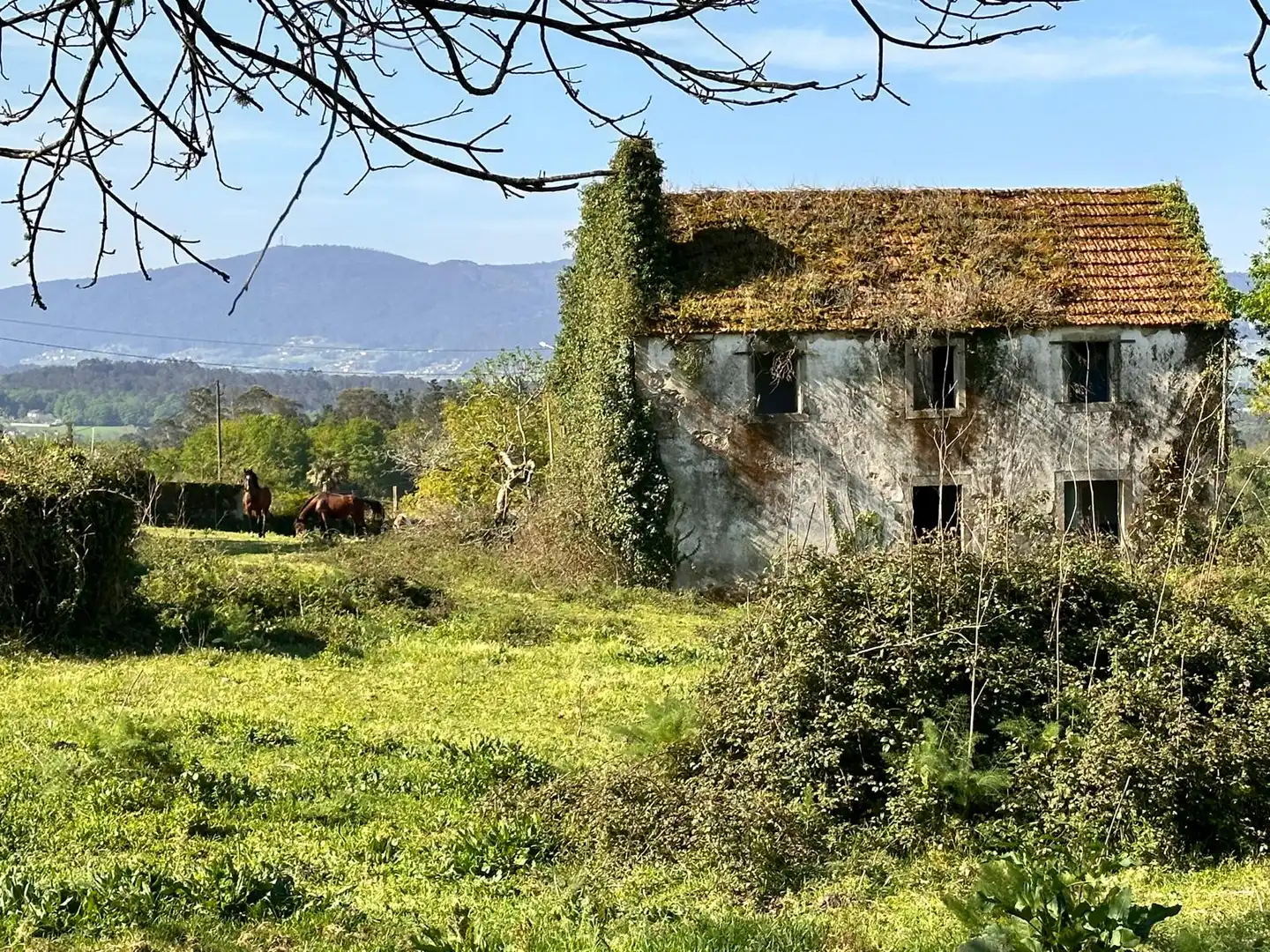 Casa o xalet en venda a Rúa Argimiro González Neira, 7, Vedra