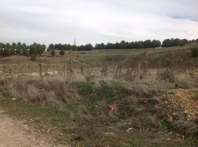 Grundstücke zum Verkauf in Loeches