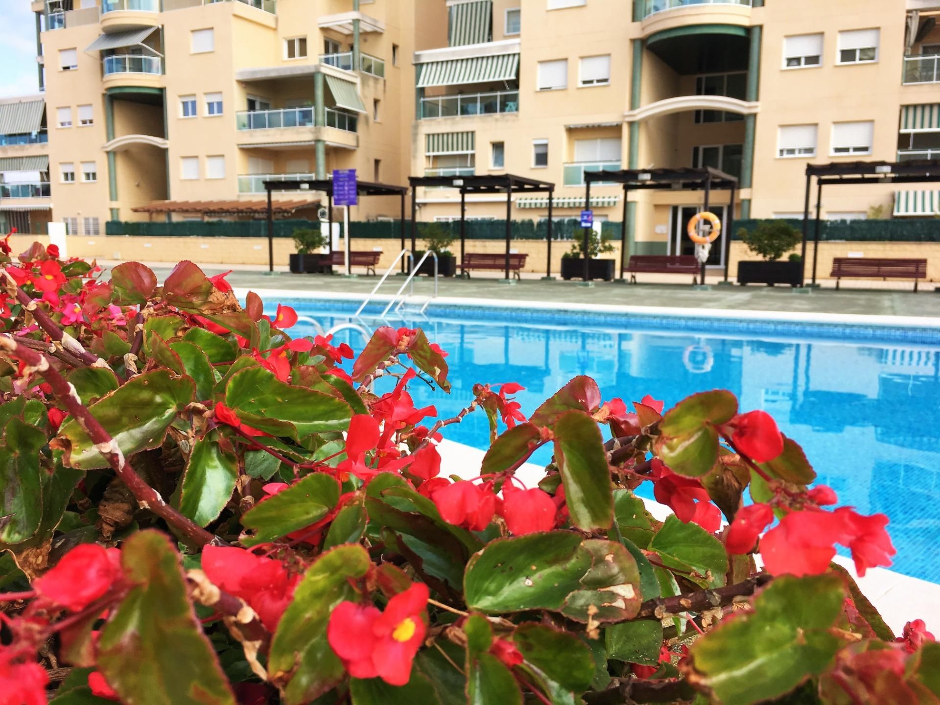 Piscina de Dúplex en venda en Gandia amb Parquet, Terrassa i Traster