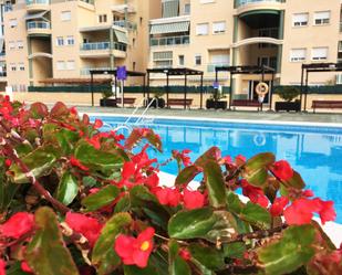 Piscina de Dúplex en venda en Gandia amb Parquet, Terrassa i Traster