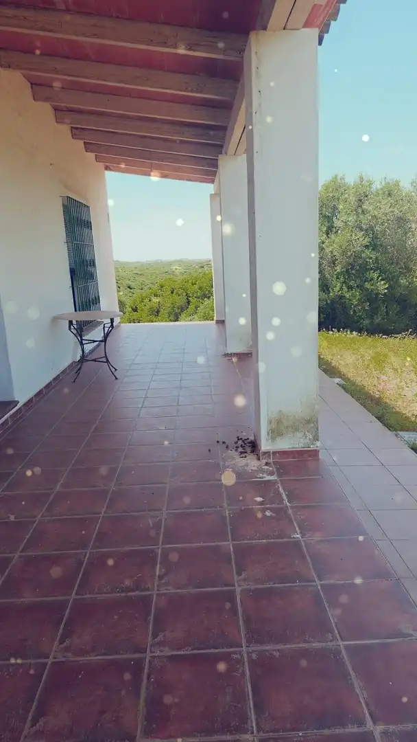 Terraza de Finca rústica en venta en Medina Sidonia