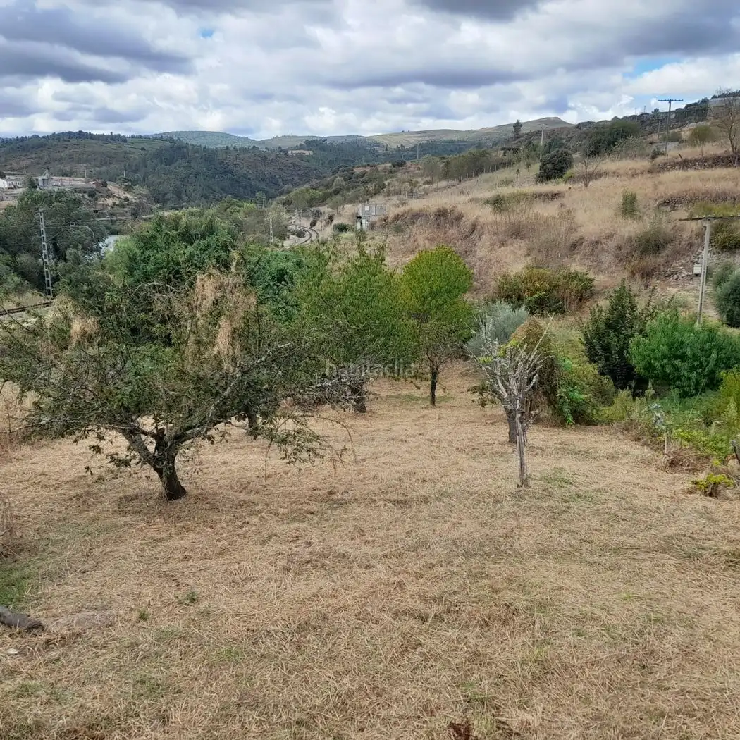Residential land for sale in Calle Cigarrosa 11
