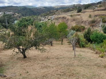 Terreno residenziale in vendita a Calle Cigarrosa 11
