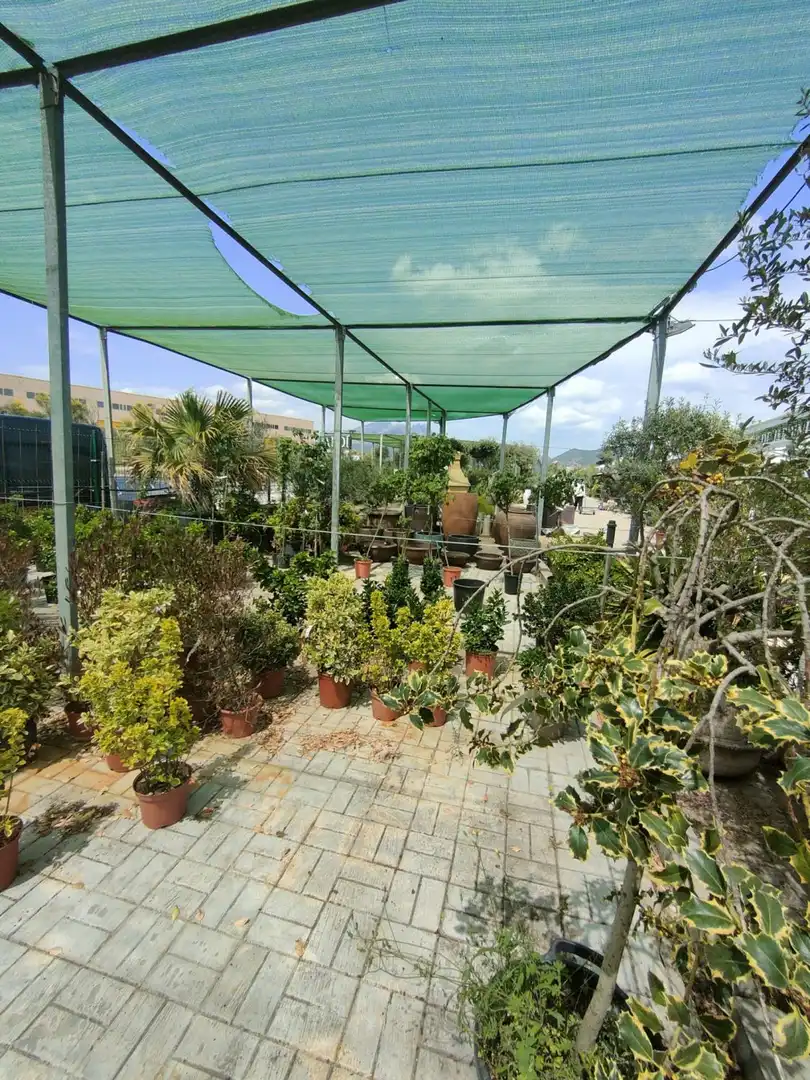 Terraza de Residencial en venta en Esparreguera