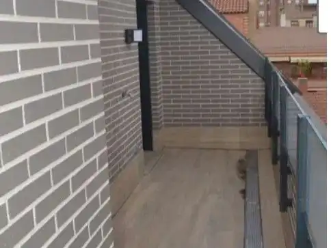 Terraza de Dúplex en venta en Retiro
