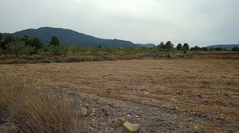 Terreno en venta en Monovar., imagen 2
