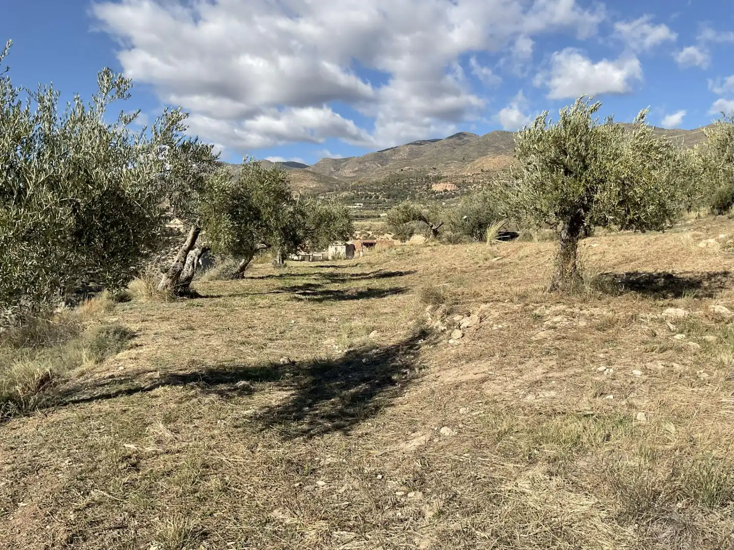 Land for sale in Padules