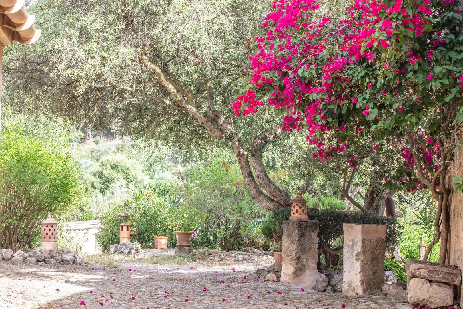 Maison rustique à vendre à Andratx pueblo, imagen 16