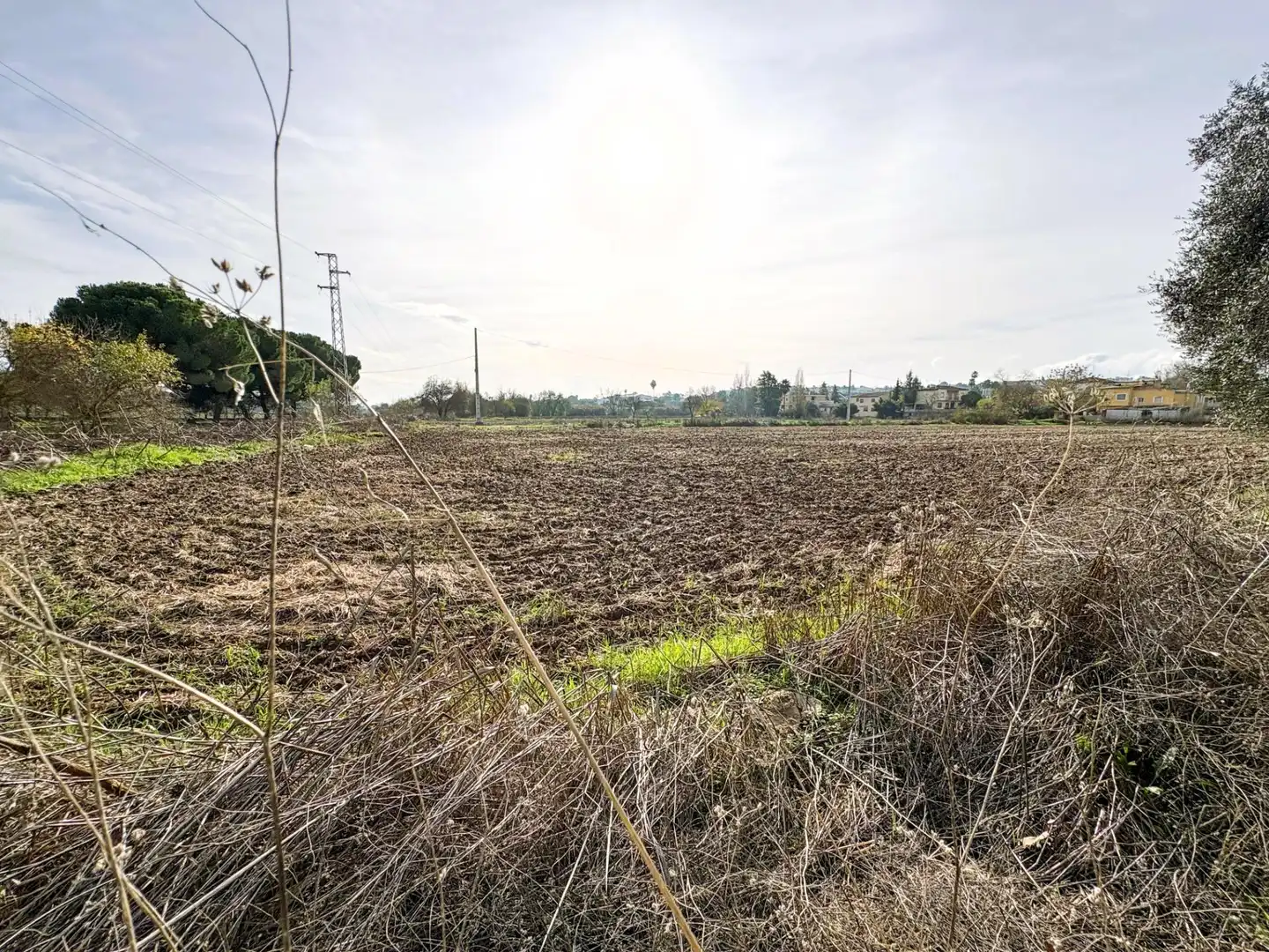 Grundstücke zum Verkauf in Badajoz