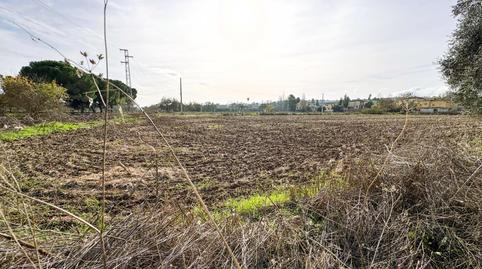 Photo 2 of Land for sale in Urbanizacion Polígono 288 Paraje 768 Calamon, Casco Antiguo, Badajoz