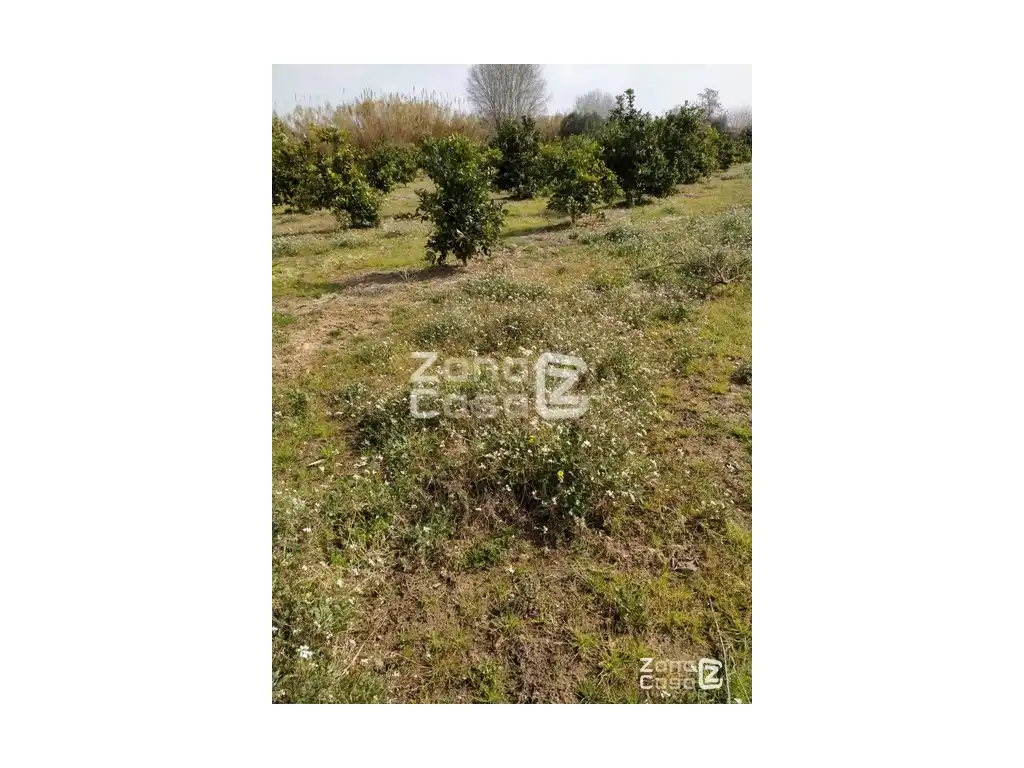 Country house for sale in Algemesí, imagen 4