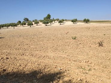 Terreni e lotti in vendita a paraje yesares viejos