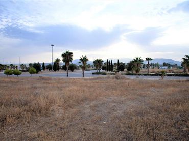Terreno industrial en venta en Calle Beatriz Núñez
