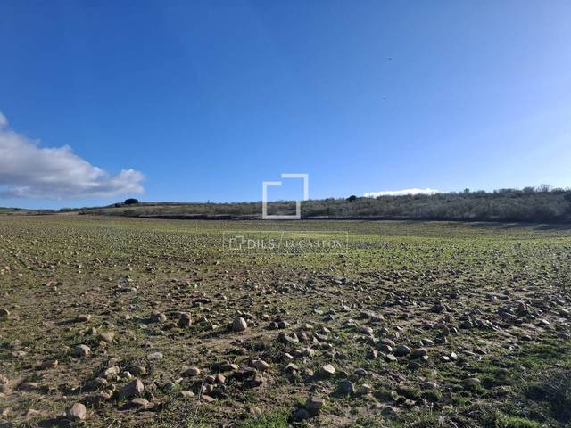 Terreno en Venta en Talamanca de Jarama