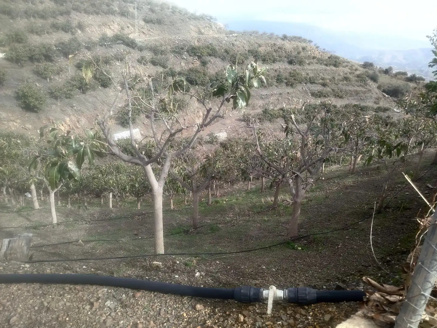 Finca rústica en venda en Vélez-Málaga amb Jardí privat, Traster i Moblat