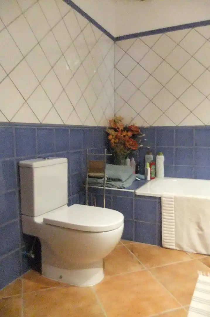 Baño de Casa o chalet en venta en Torre del Burgo con Aire acondicionado, Jardín privado y Terraza