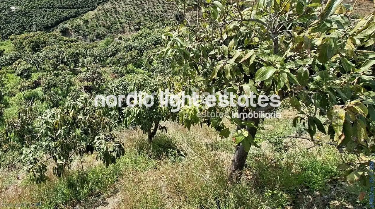 Casa en venta en Vélez-Málaga ciudad, imagen 8