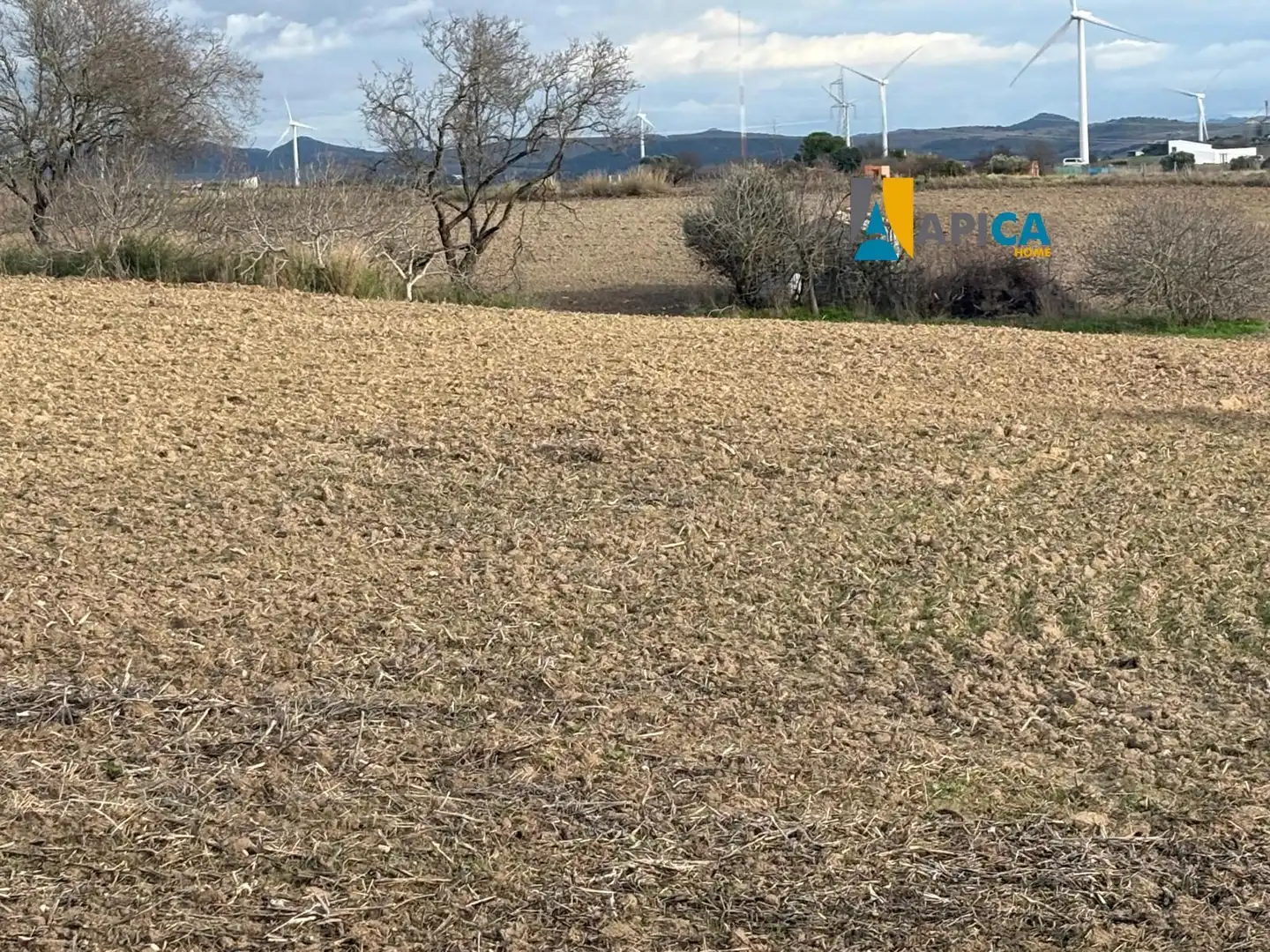 Rustikales Grundstück zum Verkauf in Los Franceses – La Vega, imagen 4