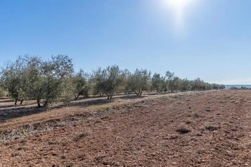 Casa rústica en venda a PAGO CORTIJO DE LAS MONJAS POLIGONO 1 PARCELA 193, imagen 39