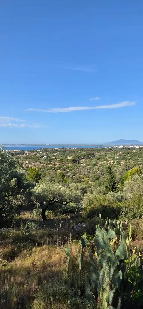 Finca rústica en venta en El Perelló con Calefacción, Jardín privado y Terraza