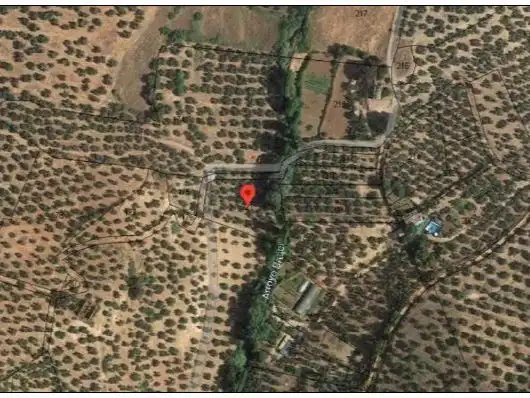 Land for sale in Beas de Segura, Jaén