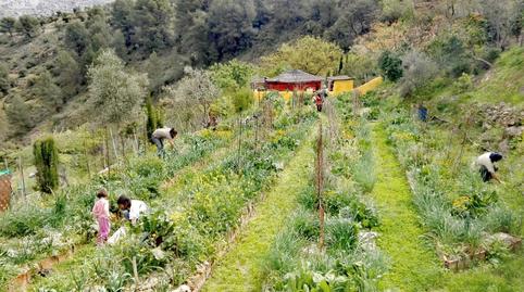 Foto 4 de Finca rústica en venda a Calle Nueva, 25, El Burgo, Málaga