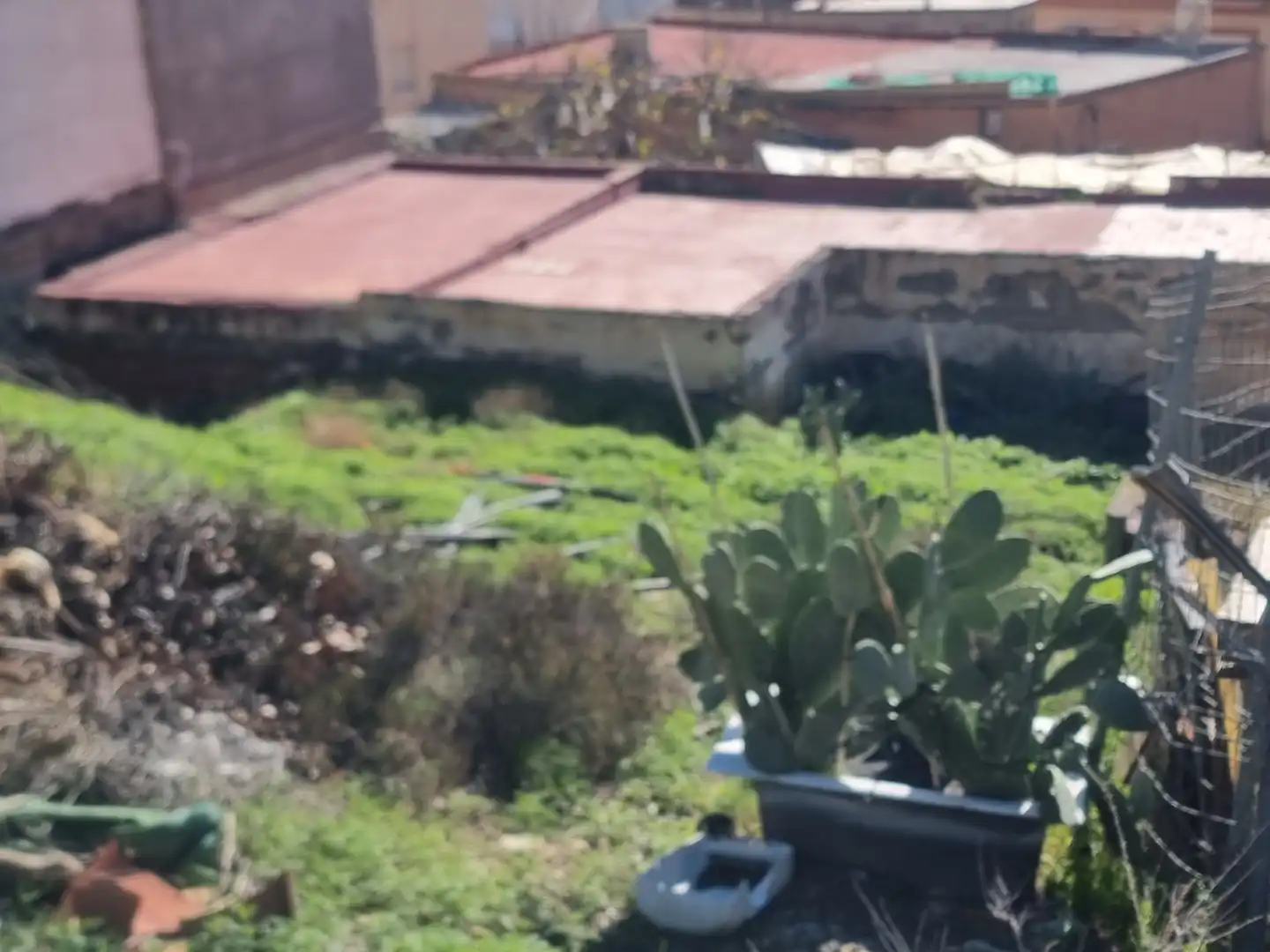 Jardín de Casa o chalet en venta en Viator con Jardín privado