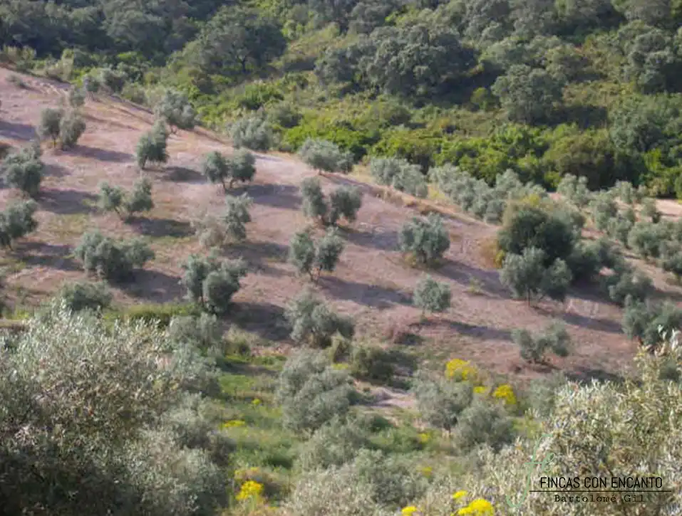 Country house zum Verkauf in Marchena mit Privatgarten, Terrasse und Schwimmbad