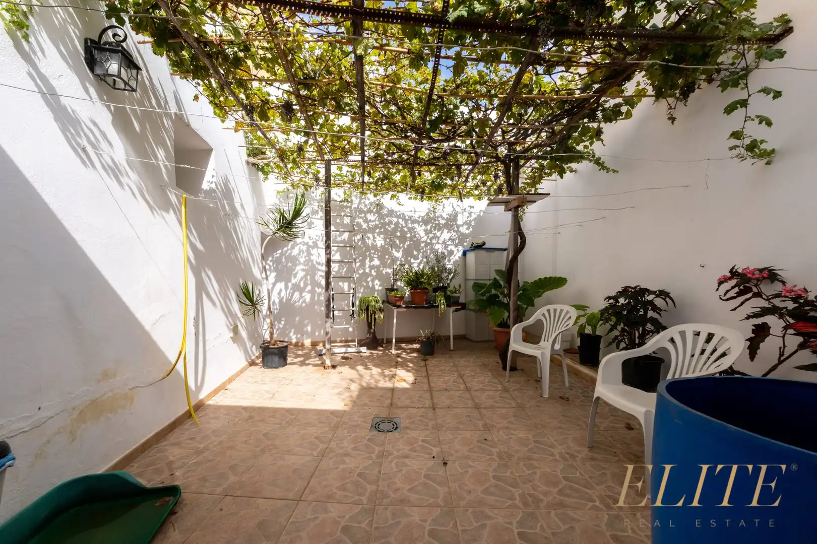 Garden of Ground floor for sale in Arucas  with Terrace