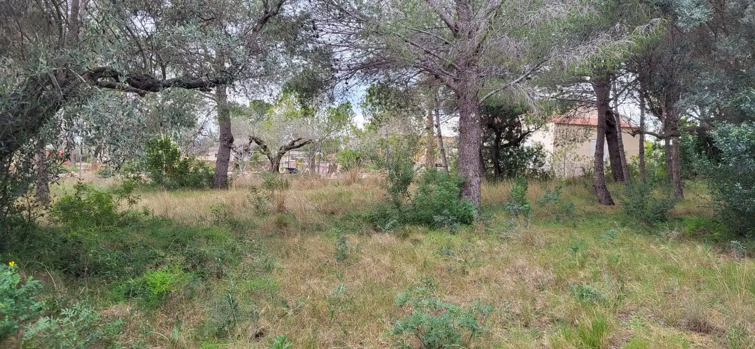 Lands and plots for sale in Meligó