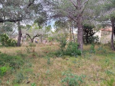Terrenys i solars en venda a Meligó