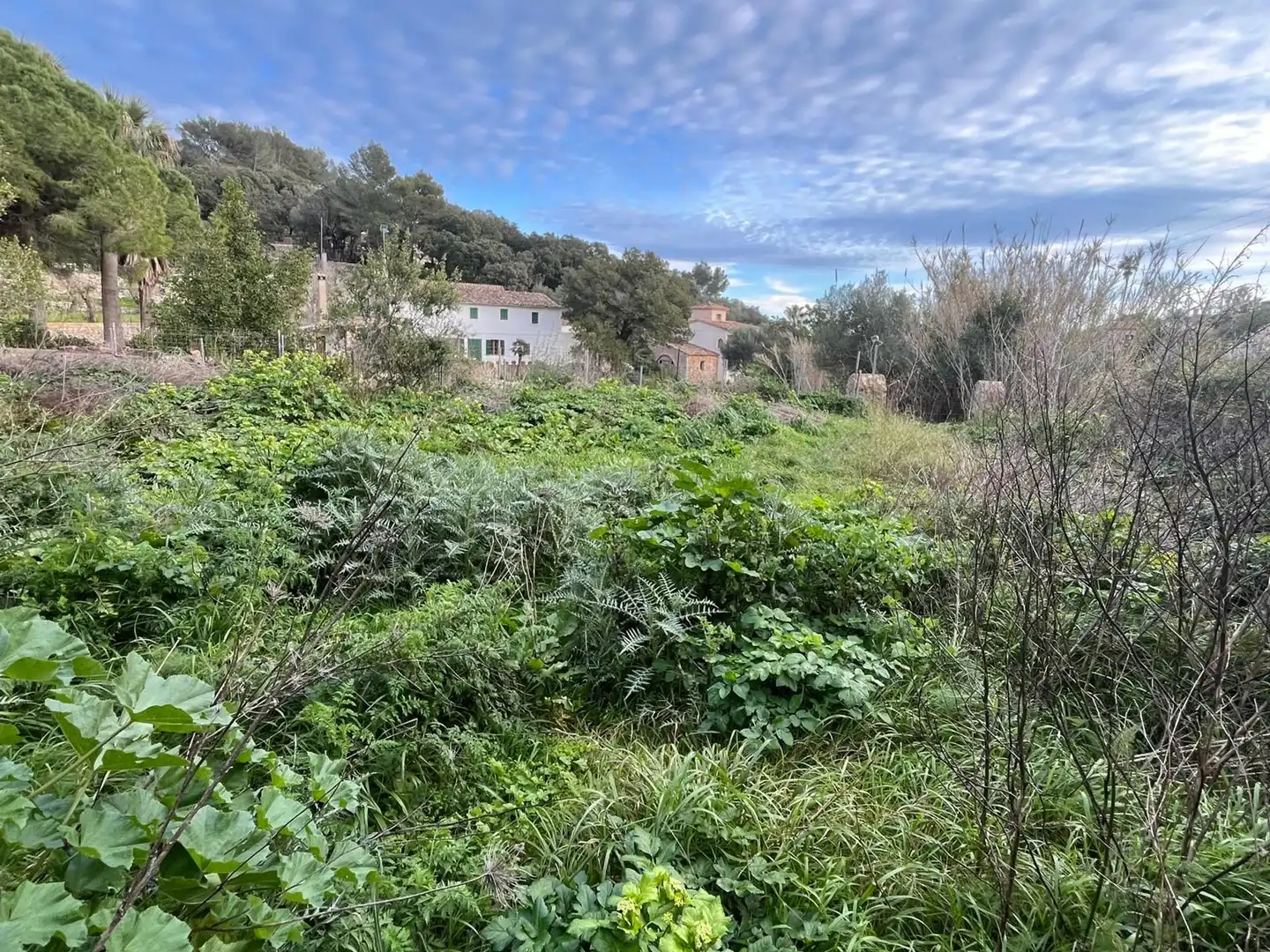 Terreny residencial en venda a Puigpunyent, imagen 12