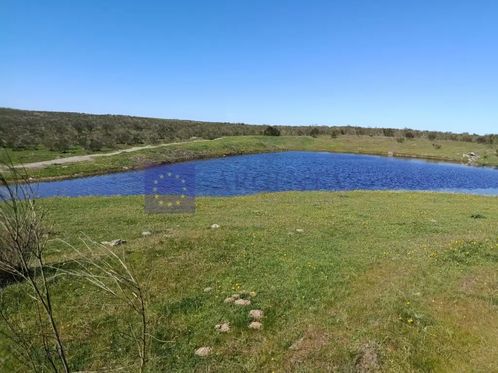 Casa o chalet en venta en Brozas