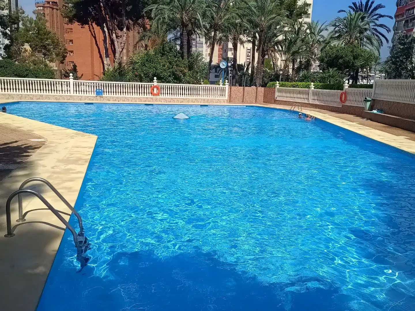 Schwimmbecken von Wohnungen zur Miete in Benidorm mit Klimaanlage, Schwimmbad und Balkon