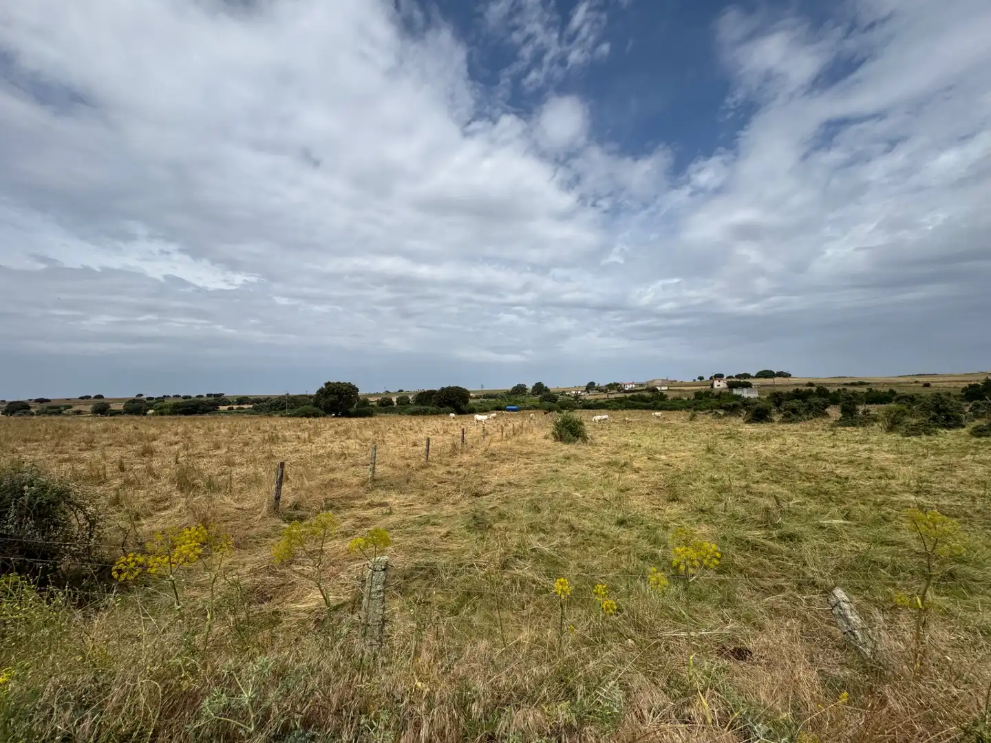 Terreno en venta en Añover de Tormes