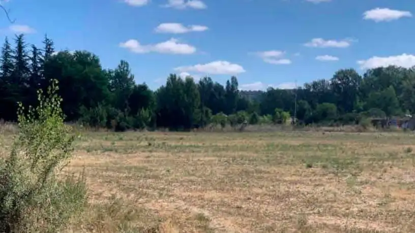 Terreni e lotti in vendita a El Ejido- Santa Ana