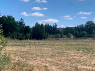 Terreno residenziale in vendita a El Ejido- Santa Ana