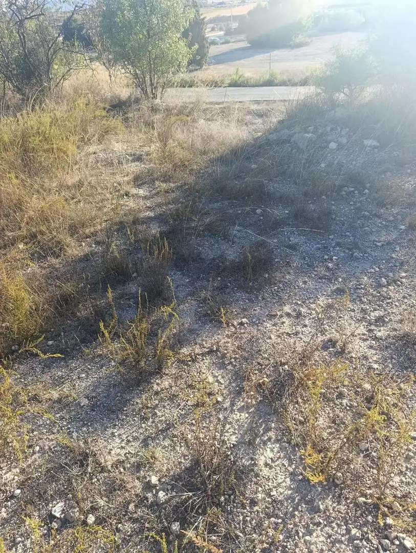 Industrial land for sale in Bullas, Murcia