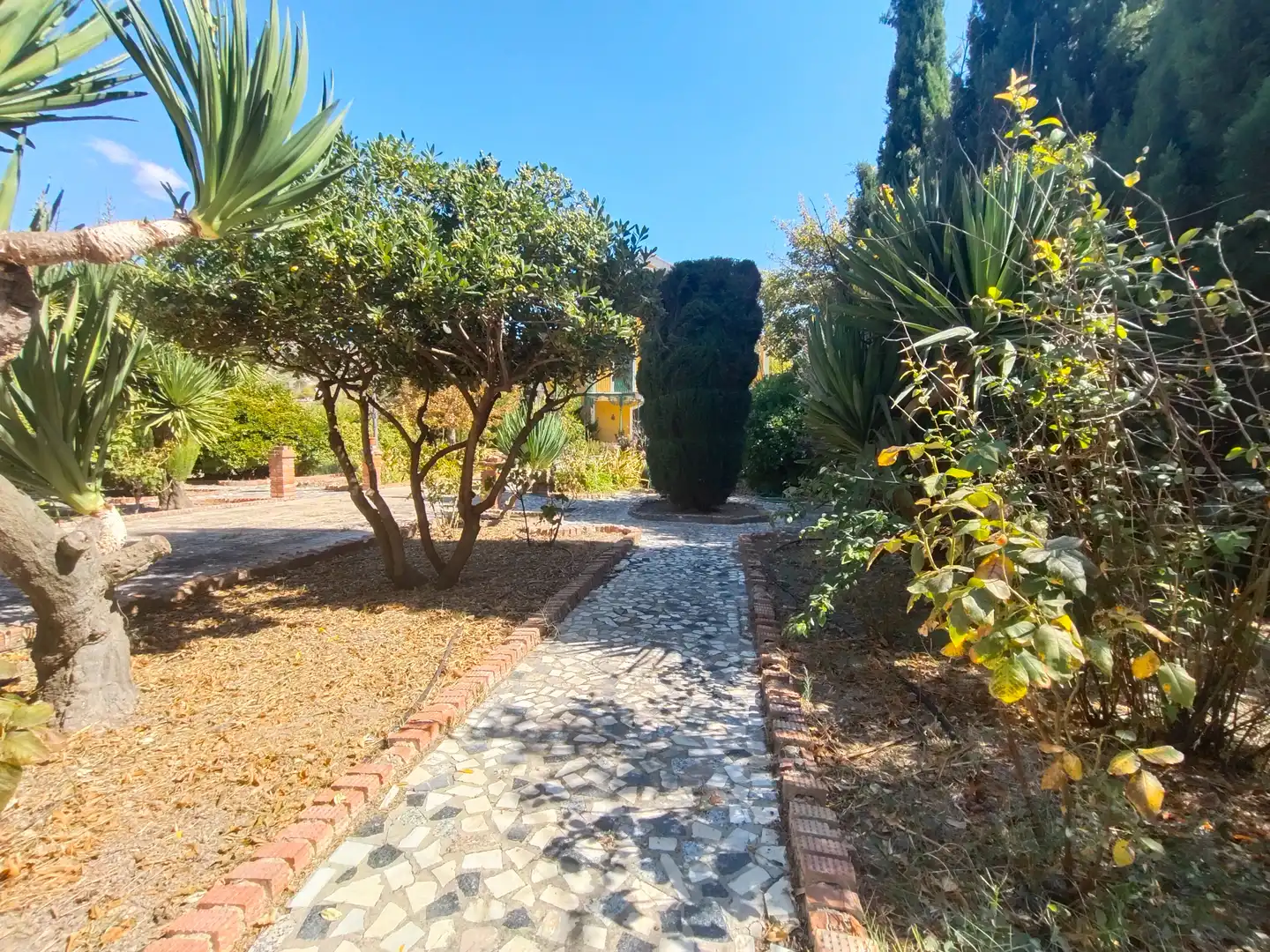 Garden of Country homes for sale in Priego de Córdoba  with Private garden, Terrace and Swimming Pool