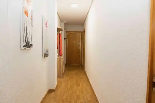 Pis de lloguer a Carrer Doctor Sapena, Pla de Bon Repós