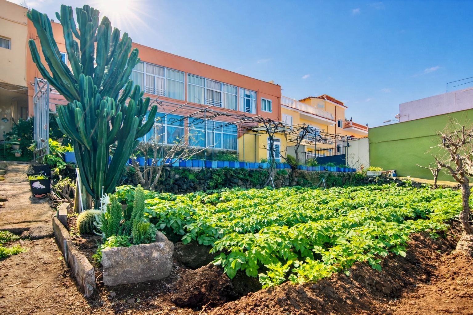 Jardí de Pis en venda en Santa Úrsula amb Jardí privat i Moblat