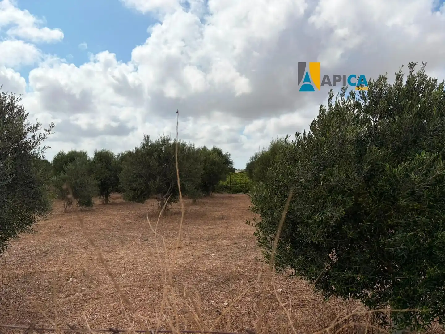 Rural land for sale in Los Franceses – La Vega, imagen 14